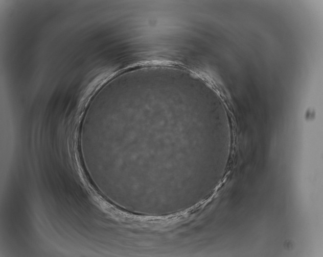 X0000101090001200807031737