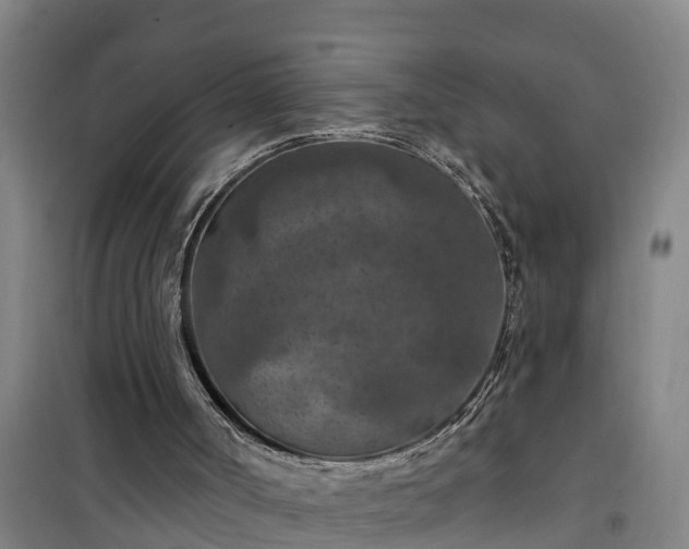 X0000101090002200807031737