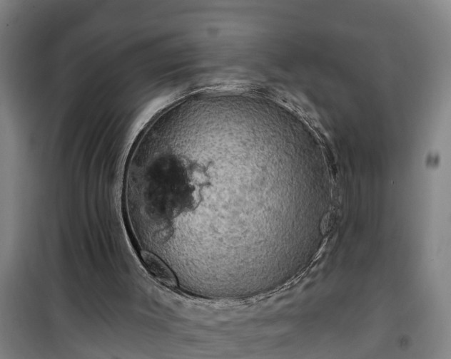 X0000101090003200807031737