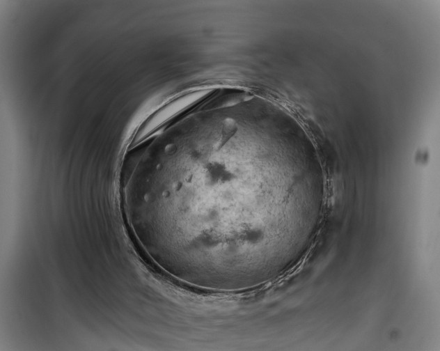 X0000101090004200807031737