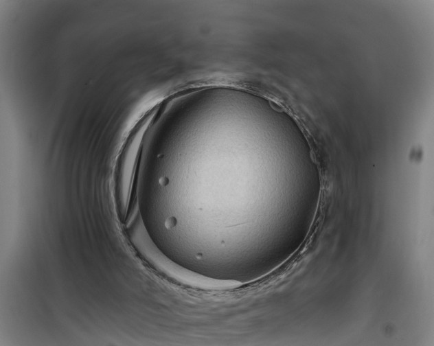 X0000101090006200807031737