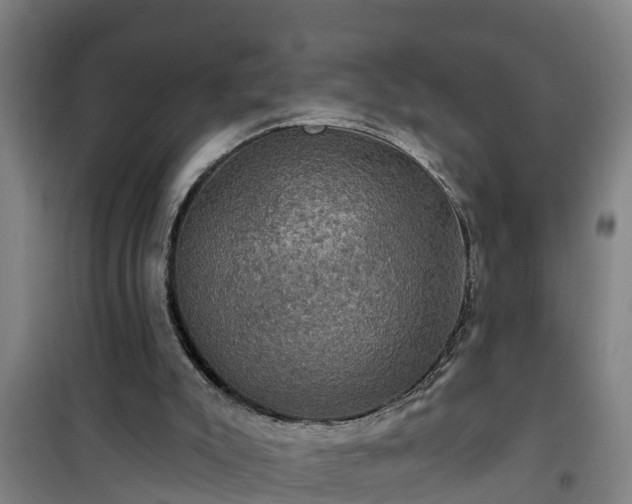 X0000101090007200807031737