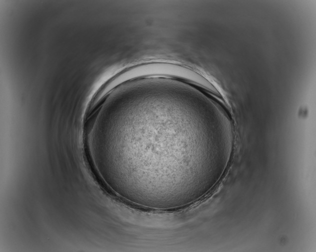 X0000101090008200807031737