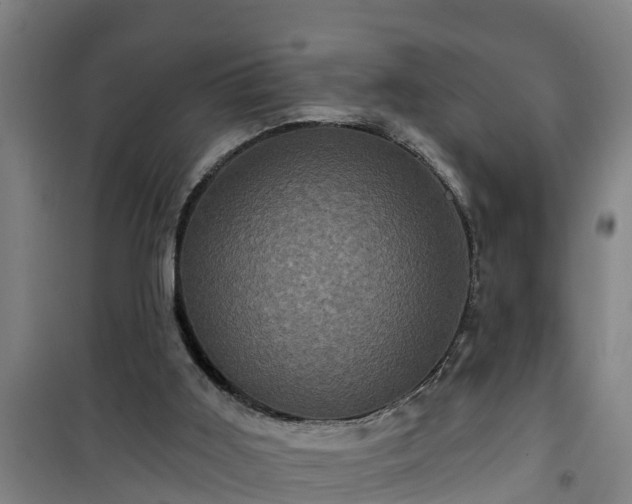 X0000101090011200807031737