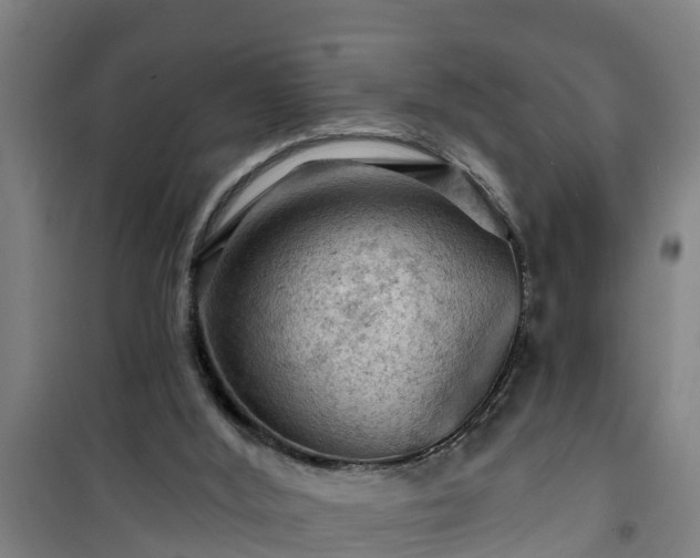 X0000101090012200807031737