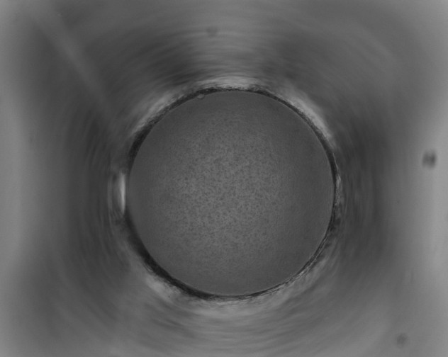 X0000101090013200807031737