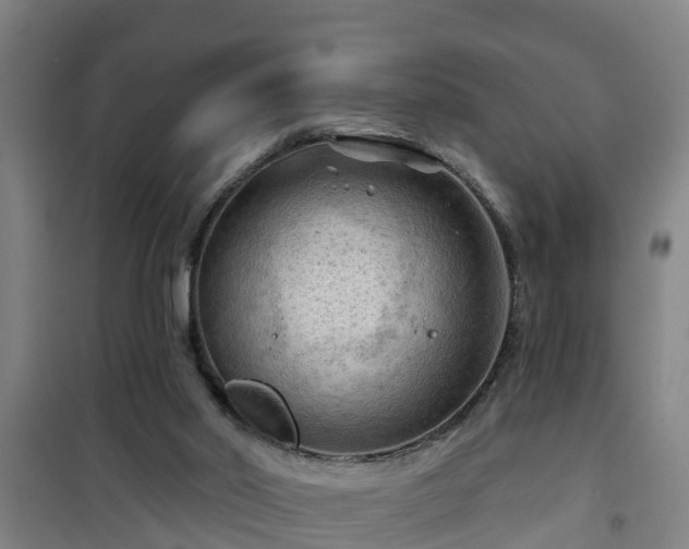 X0000101090014200807031737