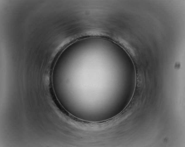 X0000101090015200807031737