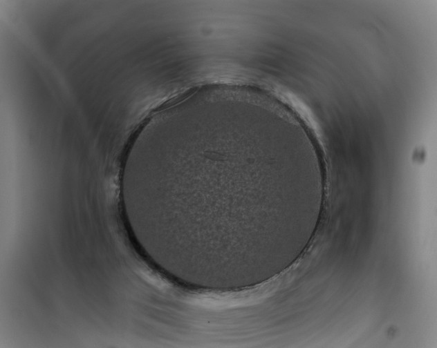 X0000101090017200807031737