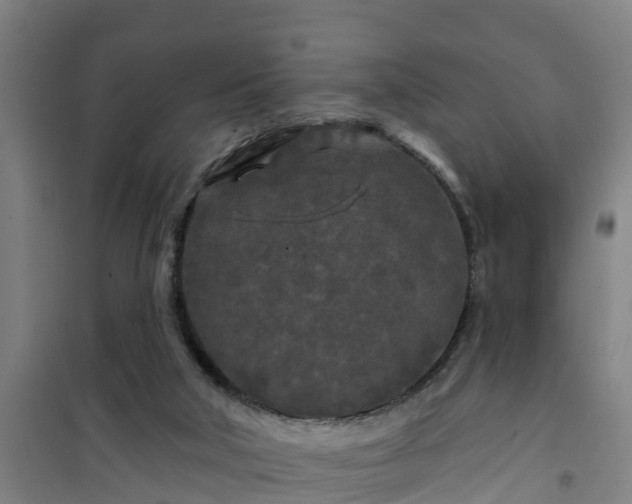 X0000101090018200807031737