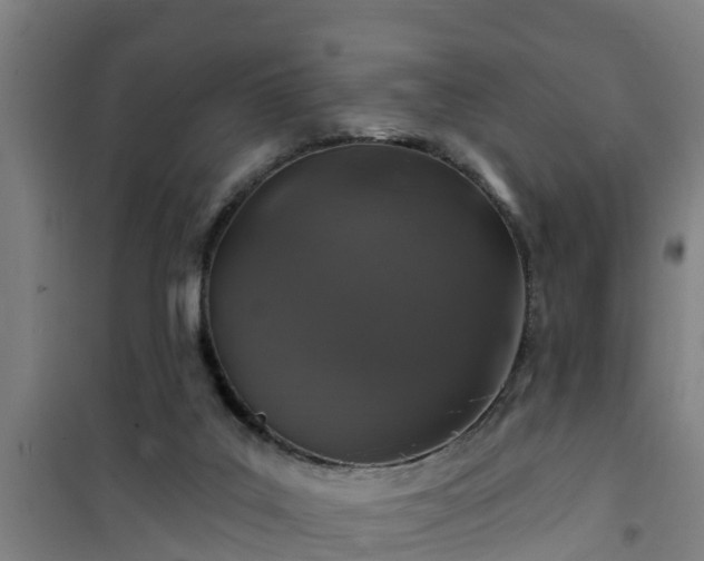 X0000101090019200807031737