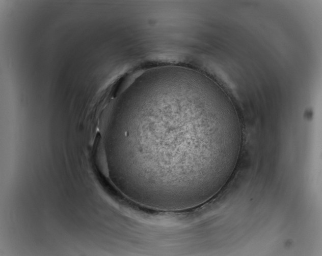 X0000101090020200807031737