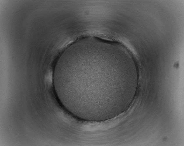 X0000101090021200807031737