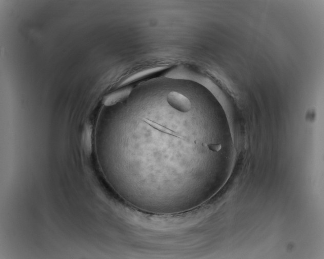 X0000101090022200807031737