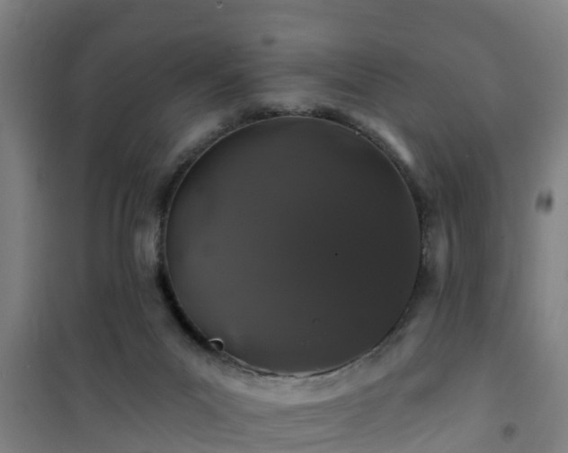 X0000101090023200807031737