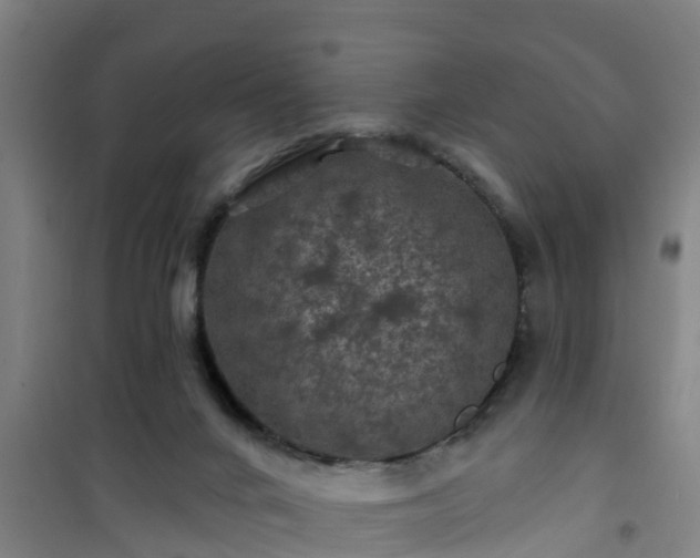 X0000101090024200807031737