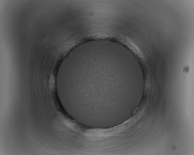 X0000101090025200807031737