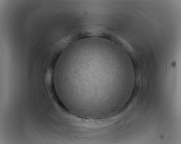 X0000101090026200807031737