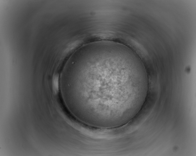 X0000101090028200807031737