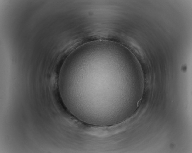 X0000101090029200807031737