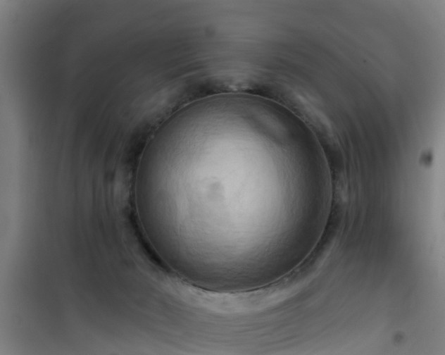 X0000101090030200807031737