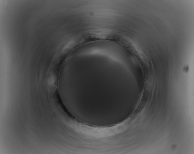 X0000101090031200807031737