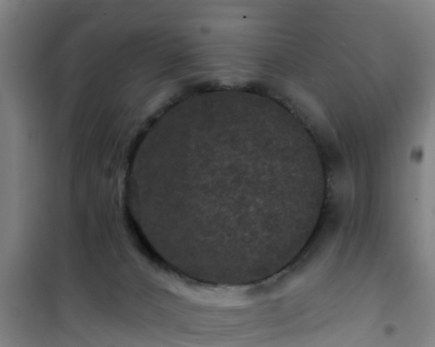 X0000101090032200807031737