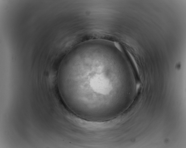 X0000101090034200807031737