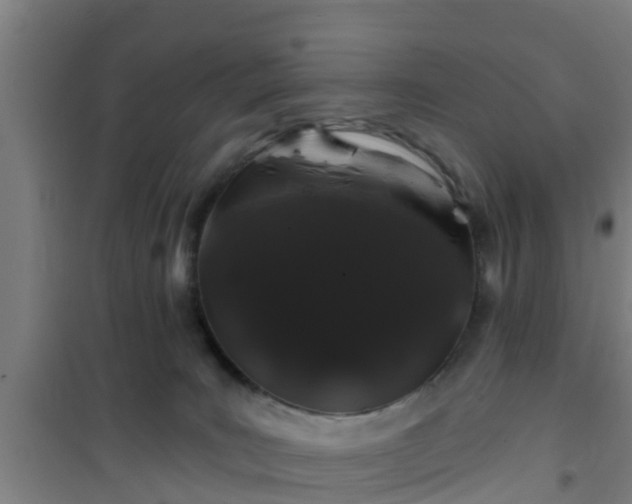 X0000101090035200807031737