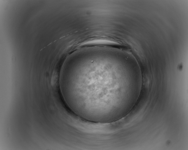 X0000101090036200807031737