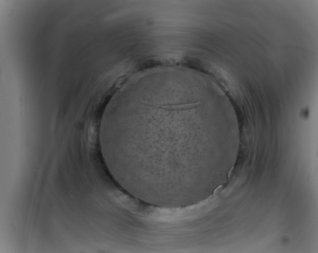 X0000101090037200807031737