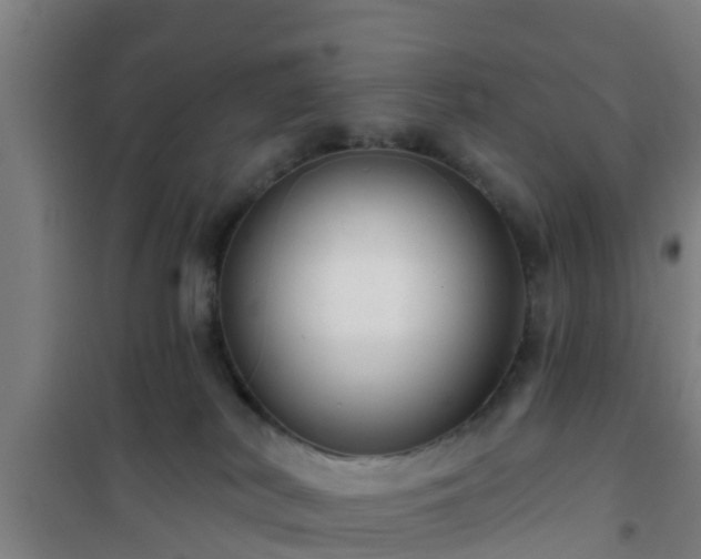 X0000101090038200807031737