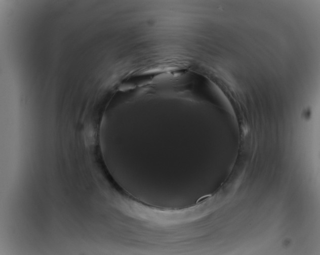 X0000101090039200807031737