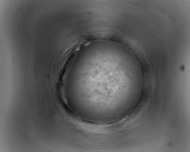 X0000101090040200807031737