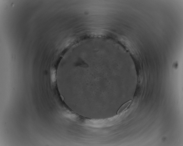 X0000101090041200807031737