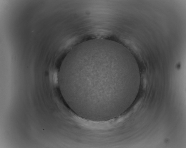 X0000101090042200807031737