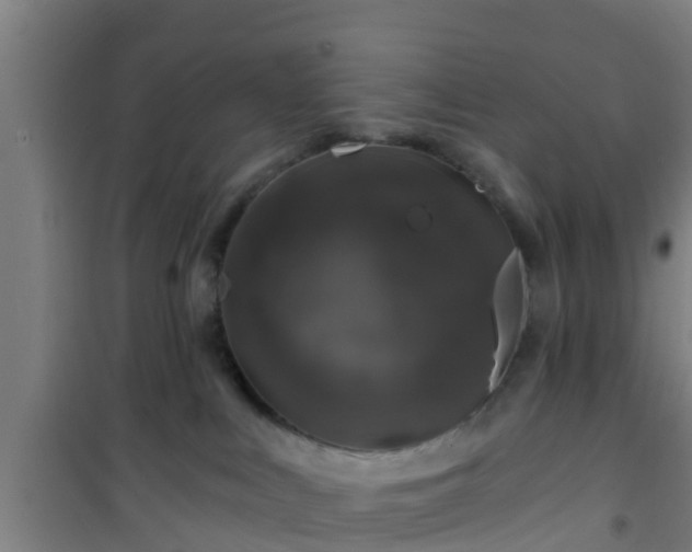 X0000101090043200807031737