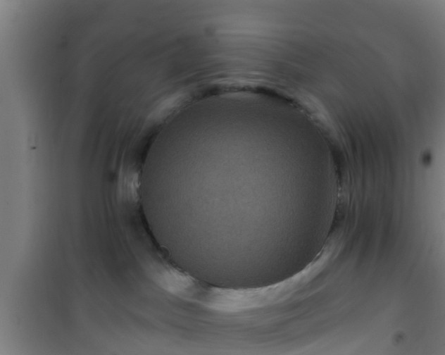 X0000101090045200807031737