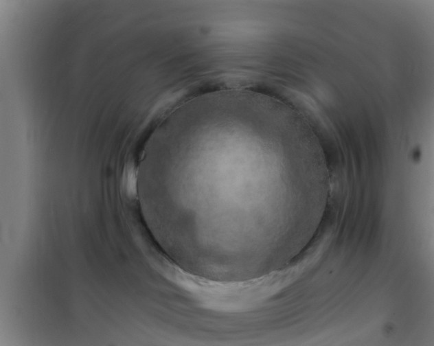 X0000101090046200807031737