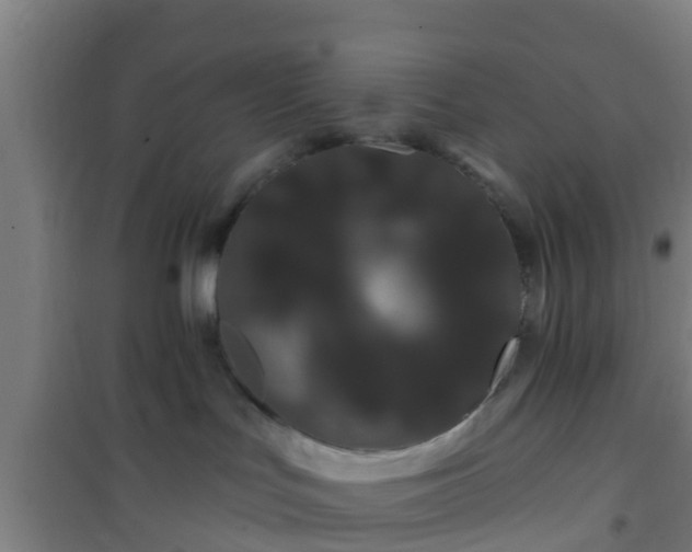 X0000101090047200807031737