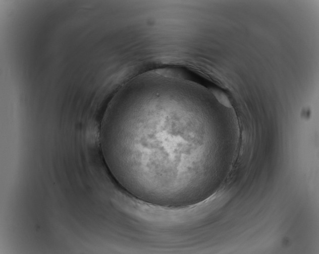 X0000101090048200807031737