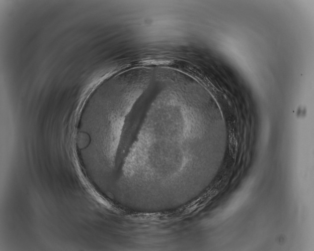 X0000101090049200807031736