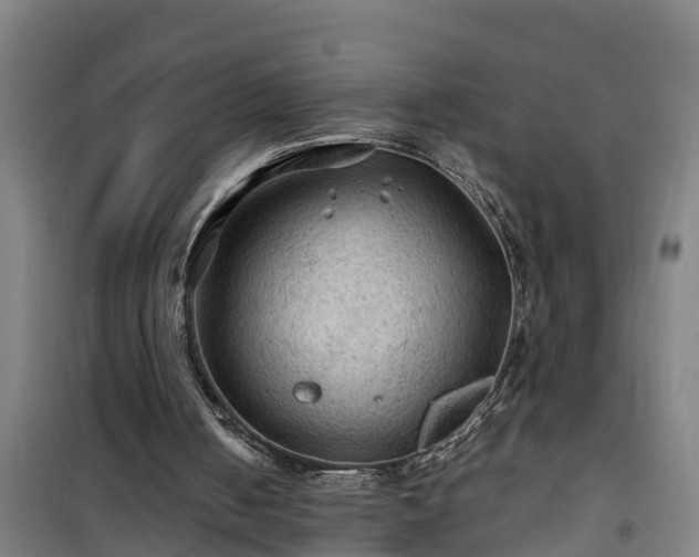 X0000101090050200807031736