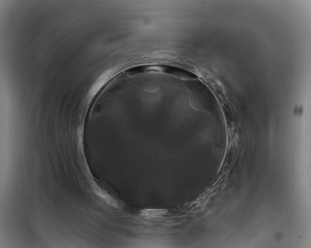 X0000101090051200807031736