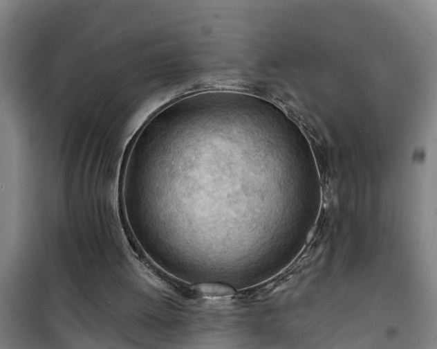 X0000101090052200807031736