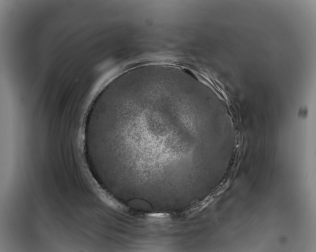 X0000101090053200807031736