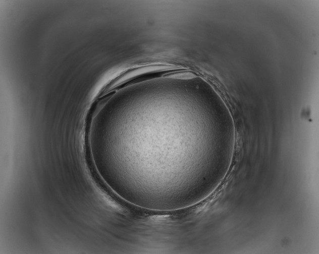 X0000101090054200807031736