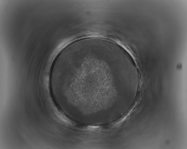 X0000101090055200807031736