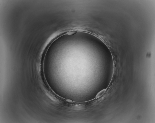 X0000101090056200807031736