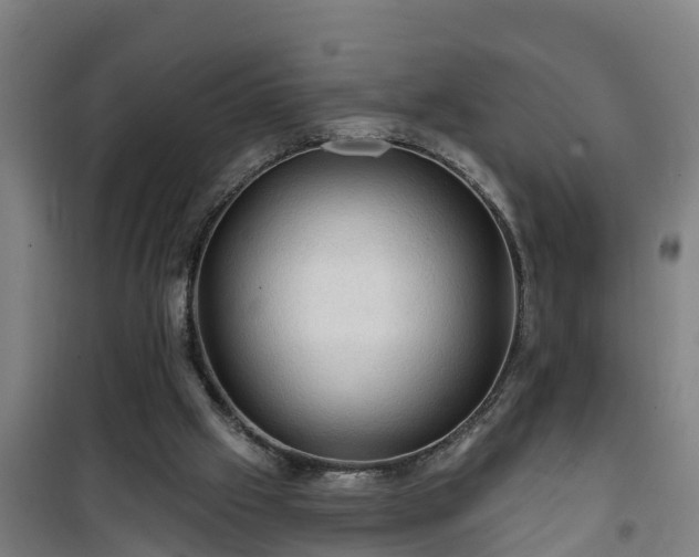 X0000101090057200807031736